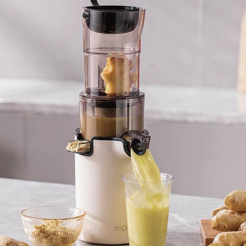 Kitchen Gadgets Juicer - 2L Low-speed Juicer Large Caliber Juicer