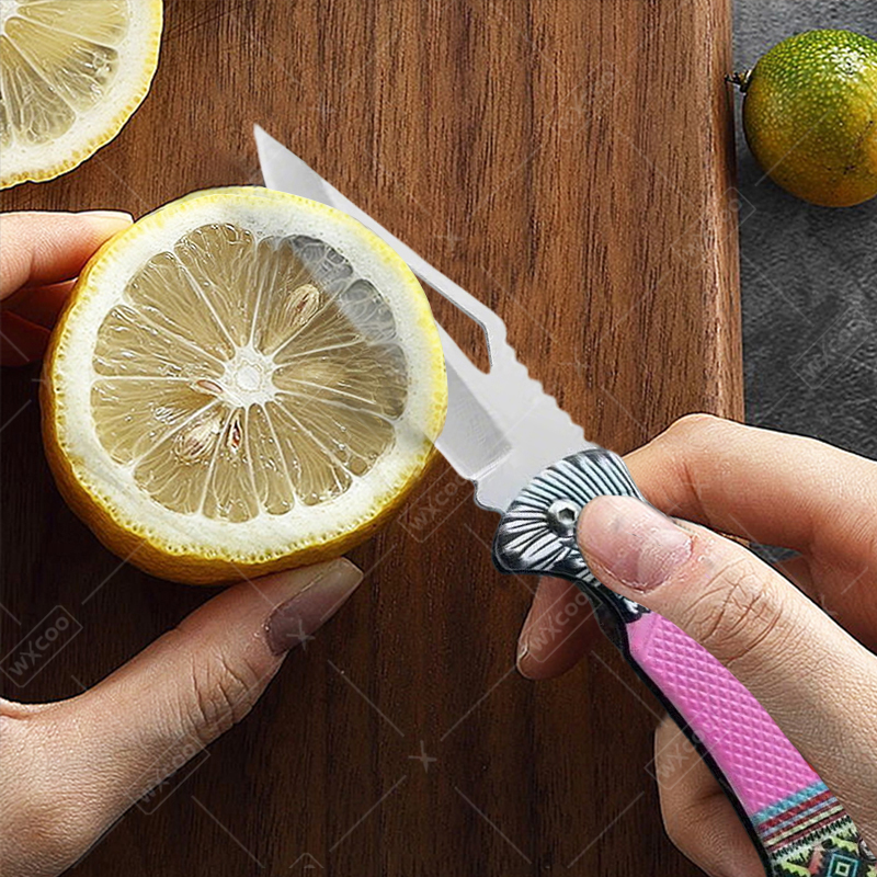 WXCOO Folding Knife Stainless  - مراجعة Kitchen Gadgets You Need وسعره