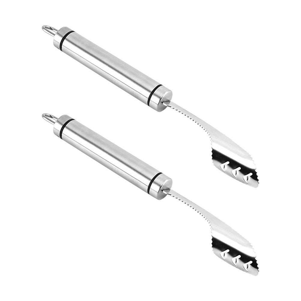 2Pcs Stainless Steel Chili Cor - مراجعة Cherry Pitter Tool وسعره