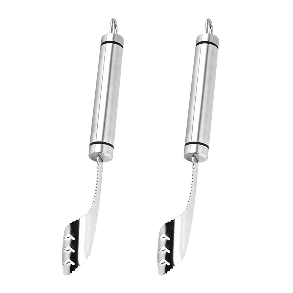 2Pcs Stainless Steel Chili Cor - مراجعة Cherry Pitter Tool وسعره