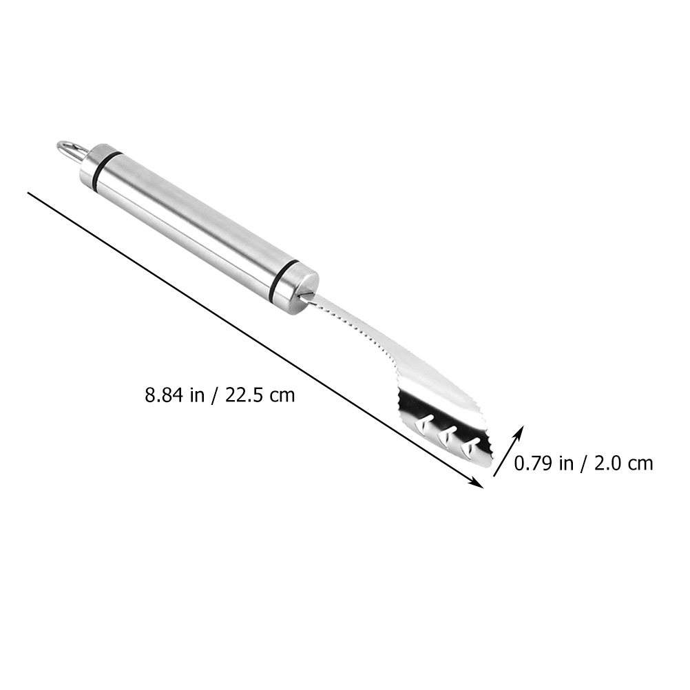 2Pcs Stainless Steel Chili Cor - مراجعة Cherry Pitter Tool وسعره