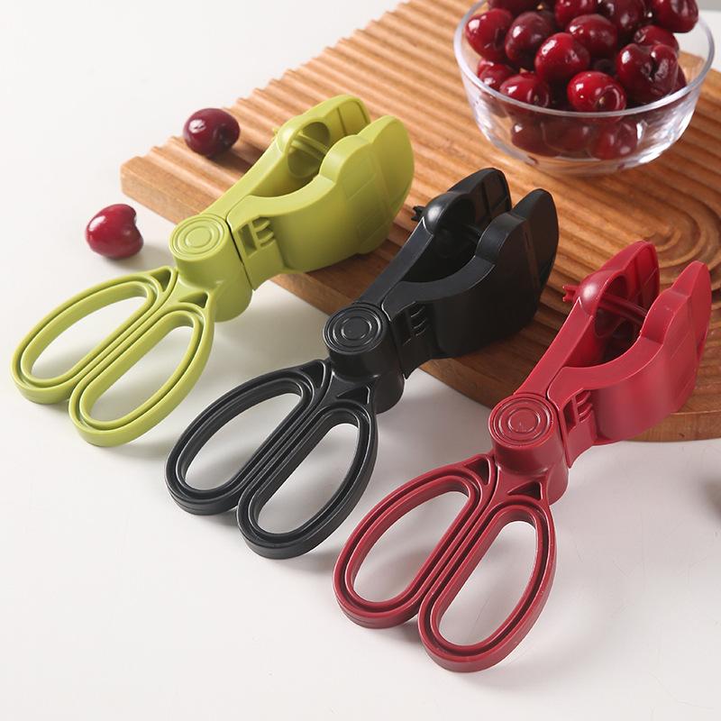 Ergonomic Handle Cherry Pit Re - مراجعة Cherry Pitter Tool وسعره
