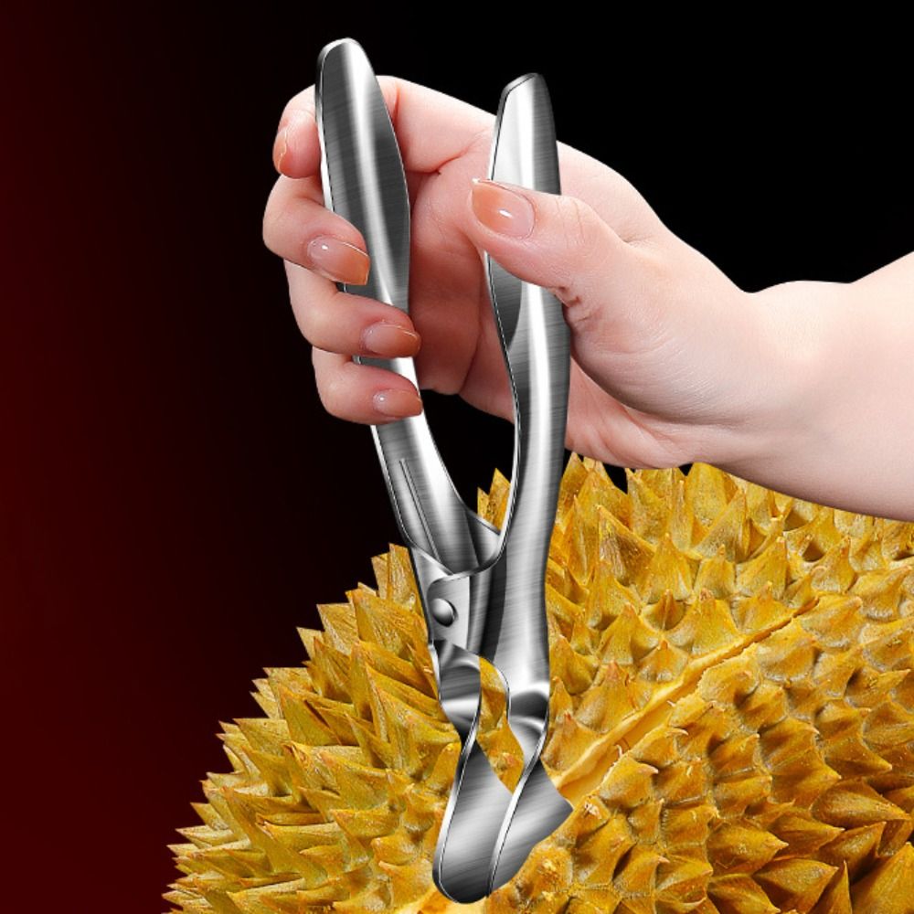 304 Stainless Steel Durian She - مراجعة Kitchen Gadgets Built In وسعره
